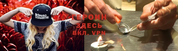 индика Костерёво