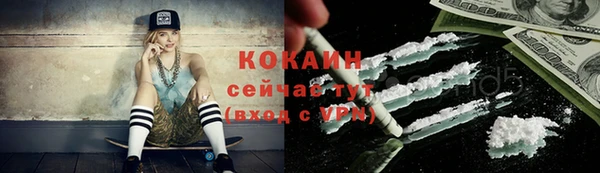 индика Костерёво
