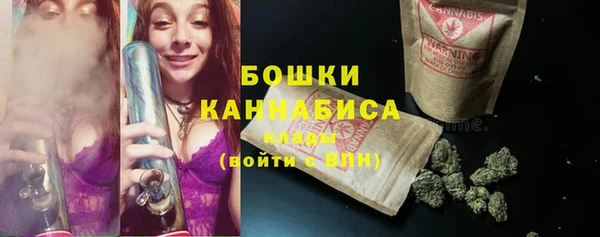 индика Костерёво