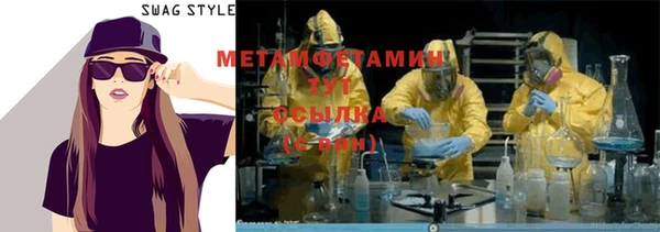индика Костерёво