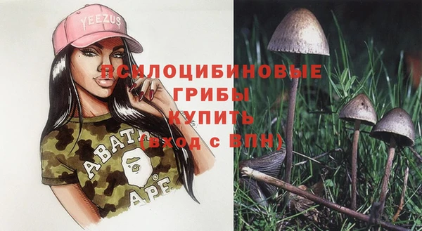 ECSTASY Коряжма
