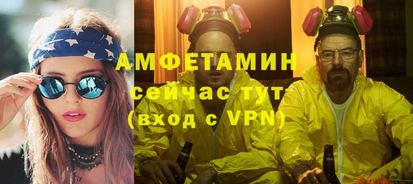 индика Костерёво