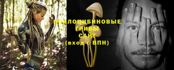 спайс Козельск