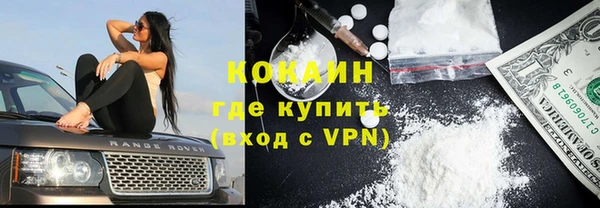 индика Костерёво