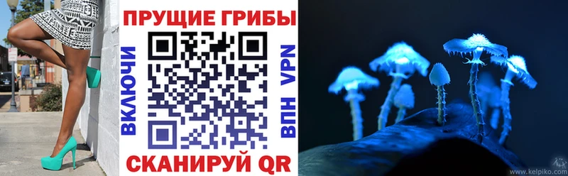 Галлюциногенные грибы прущие грибы  купить наркотик  Моршанск 